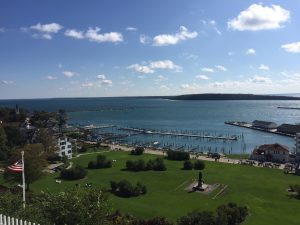 View from the Tea Room