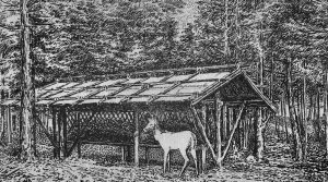 A shelter within Deer Park on Mackinac Island, circa 1915