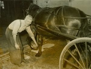 Herbert Benjamin examining a horse and carriage in the 1950s. 