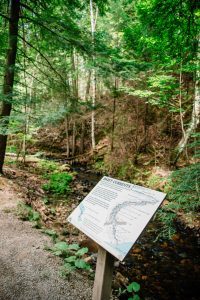 A trail at Historic Mill Creek Discovery Park.