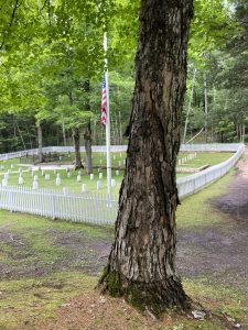A large sugar maple near the Fort Mackinac Post Cemetery on Mackinac Island. 