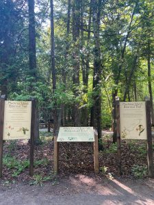 Signs at the beginning of the Mackinac Island Botanical Trail. 