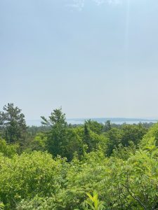 View of trees, water, and an island from Fort Holmes on Mackinac Island. 