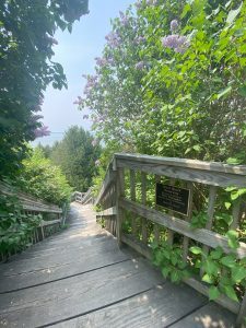 A set of stairs found on Pontiac's Trail on Mackinac Island. 
