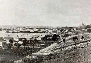 An 1890 view of Mackinac Island from the East Bluff, showing cattle grazing in the park. 