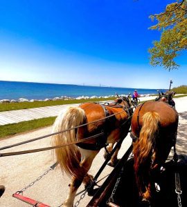 The Mackinac State Historic Parks Dray team walking on M-185.