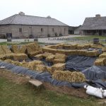 The archaeological pit filled in with a tarp and hay bales.