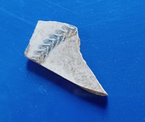 A fragment of stoneware with a decorative edge.