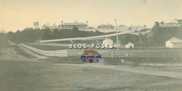 Blog Posts