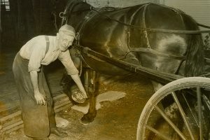 Herbert Benjamin examining a horse and carriage in the 1950s.