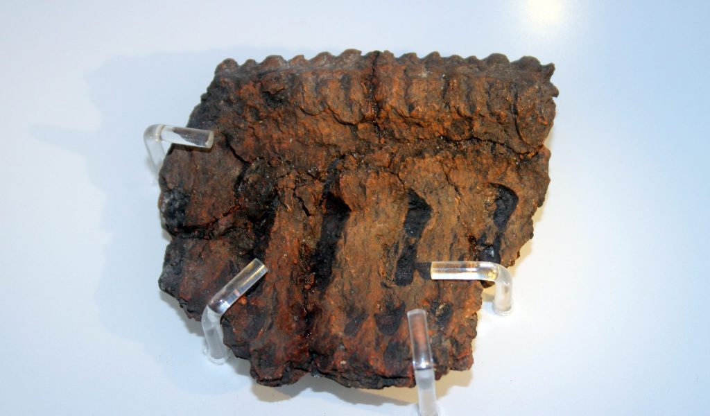 MAM Pottery Sherd 2