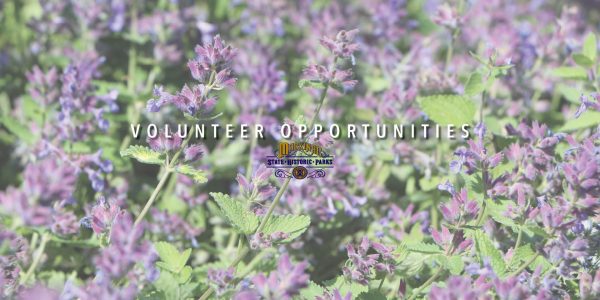Volunteer Opportunities - Website
