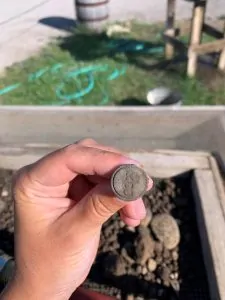 A hand holding a small brown button.