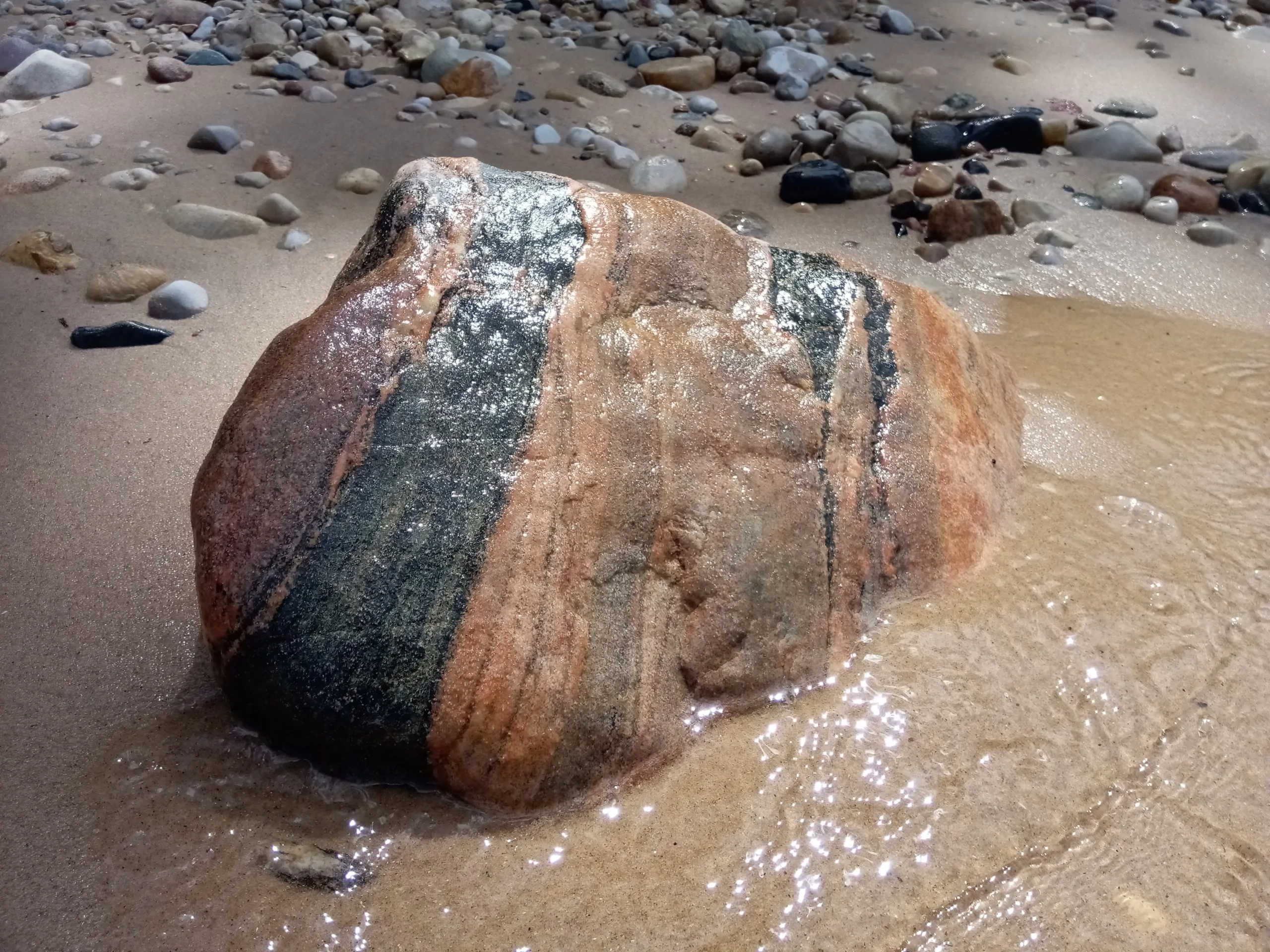 A glacial erratic boulder found on the Lake Huron lakeshore, brown or rust colored with a black stripe.