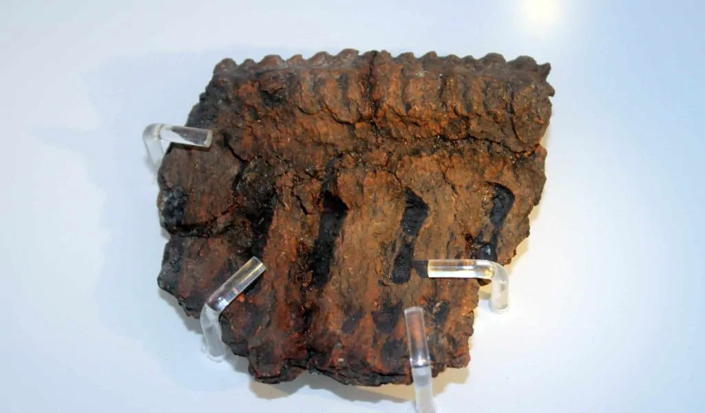 MAM Pottery Sherd 2